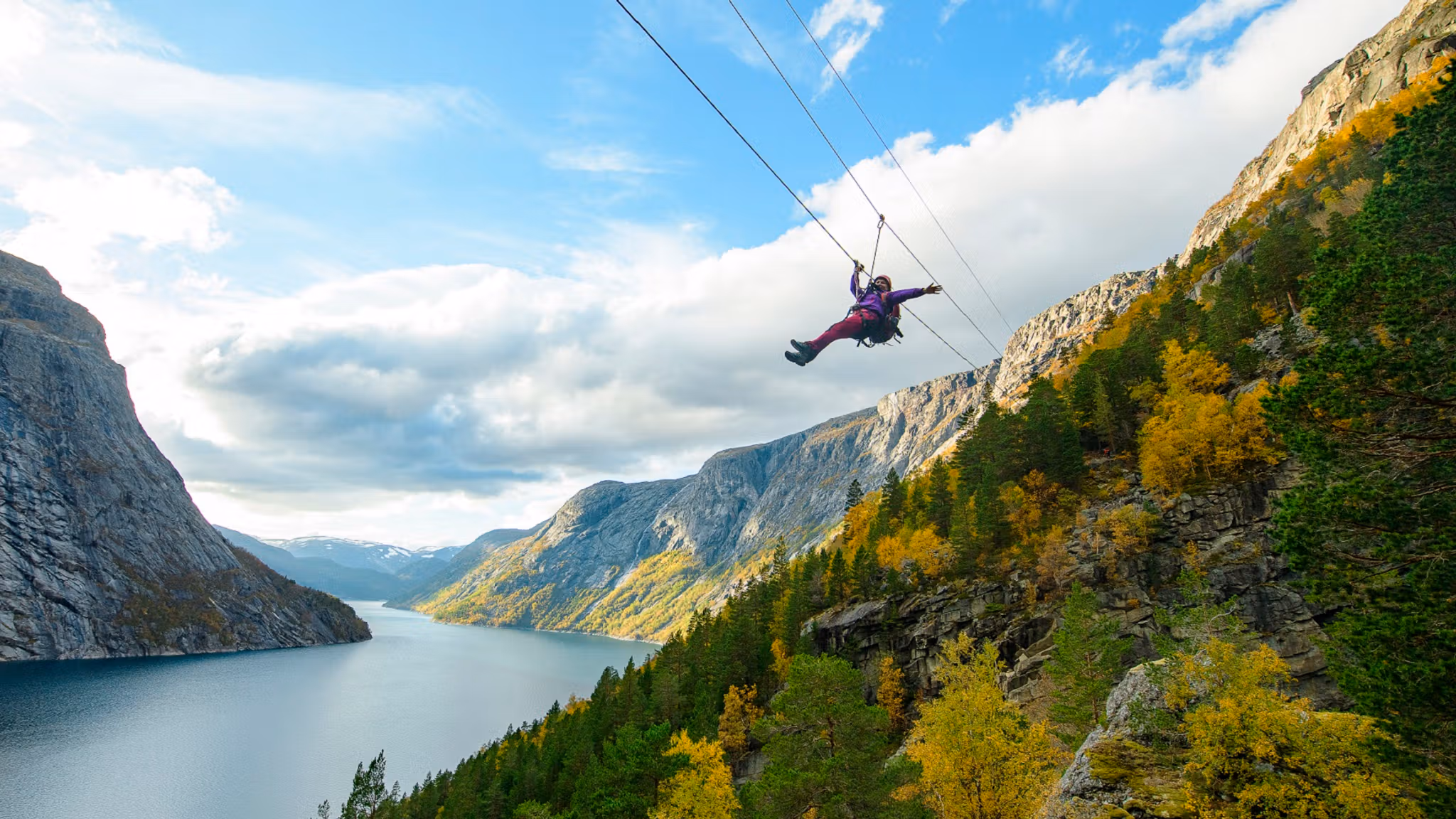 Picture of Someone on a Zipline